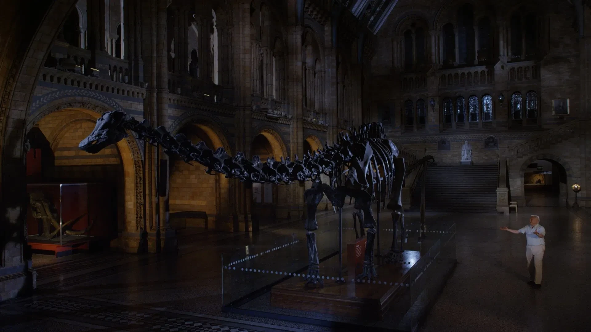 دانلود فیلم David Attenborough's Natural History Museum Alive 2014