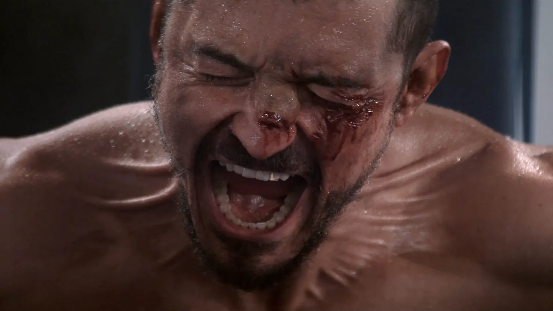 دانلود فیلم The Cut 2024