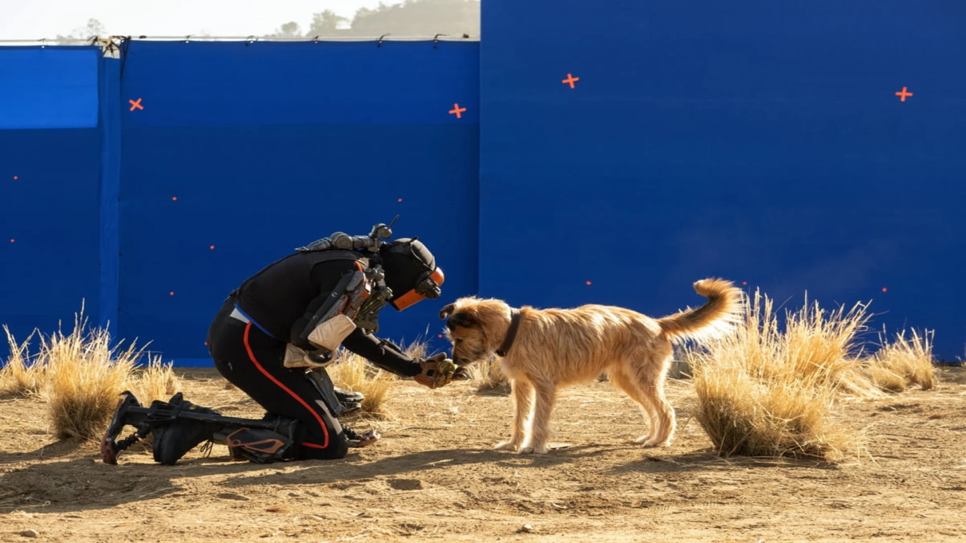 دانلود فیلم Finch 2021