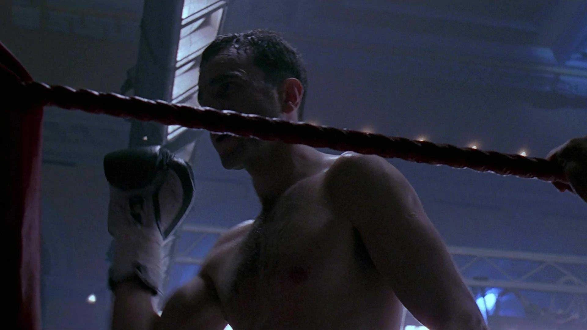 دانلود فیلم The Boxer 1997