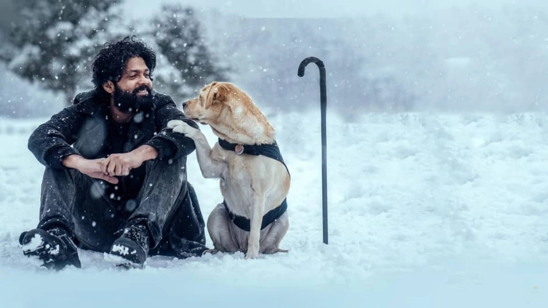 دانلود فیلم 777Charlie 2022