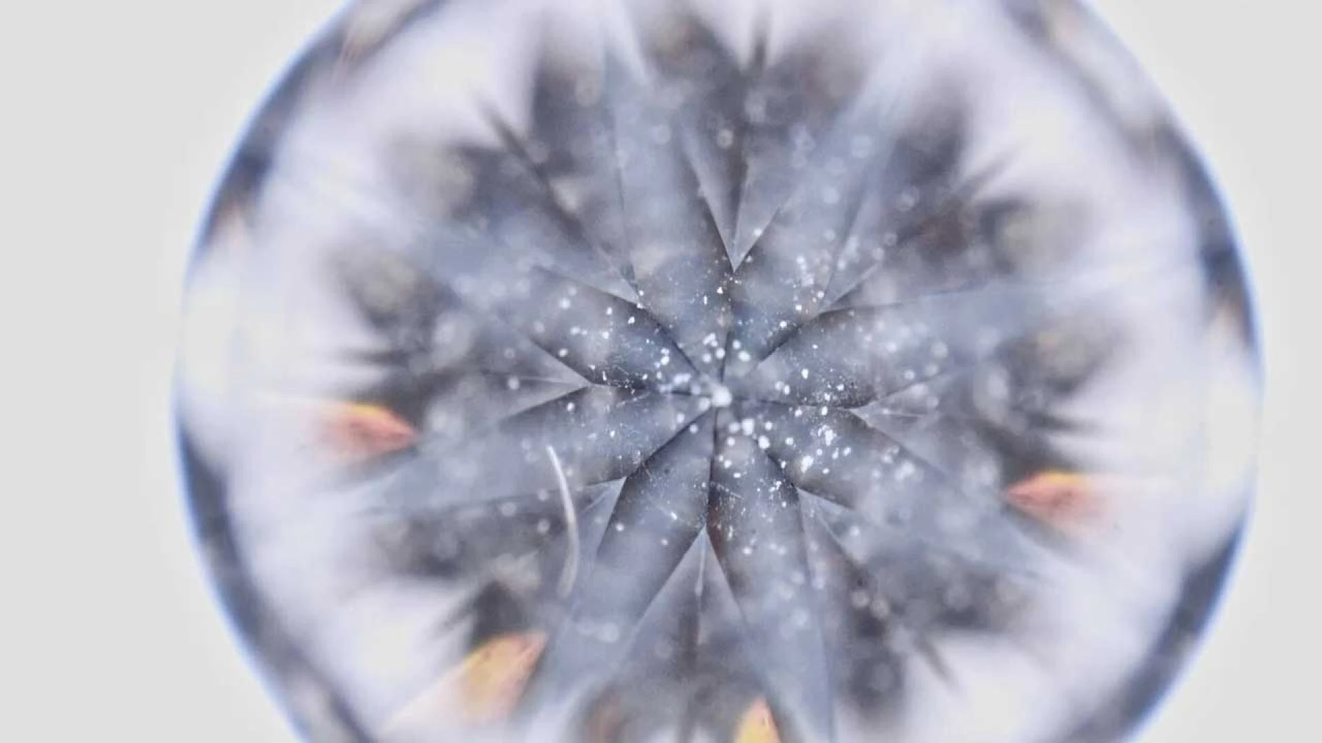 دانلود فیلم مستند Nothing Lasts Forever 2022