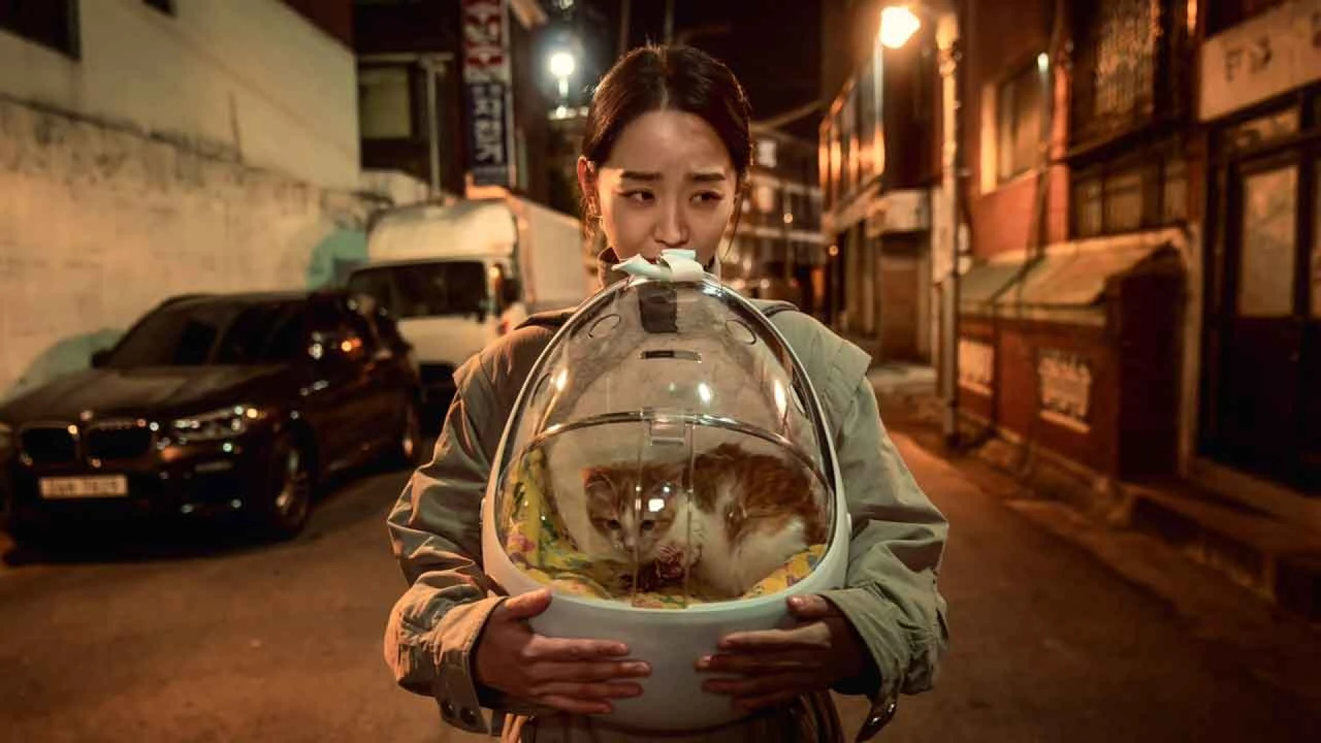 دانلود فیلم Following 2024