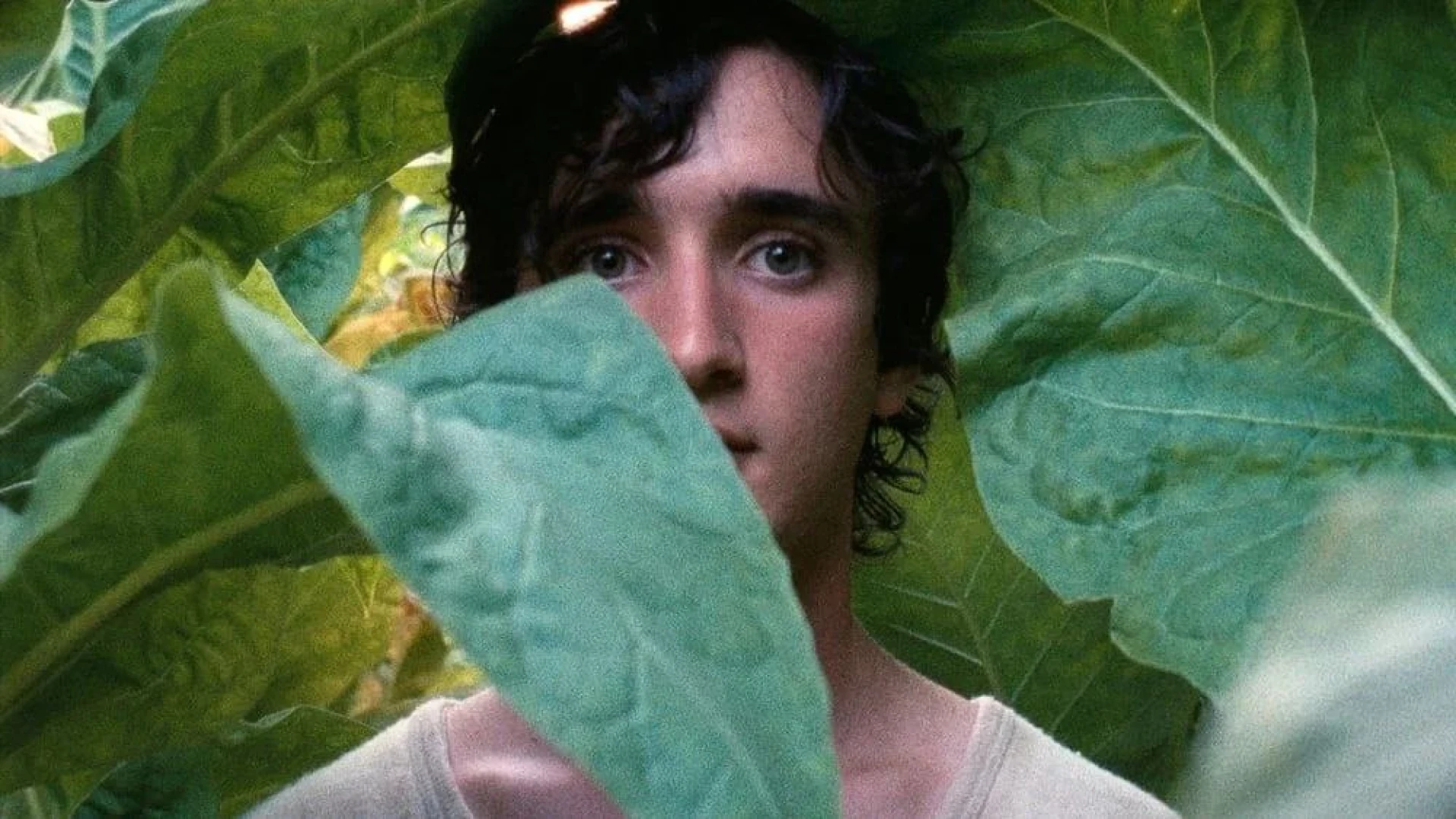دانلود فیلم Happy as Lazzaro 2018