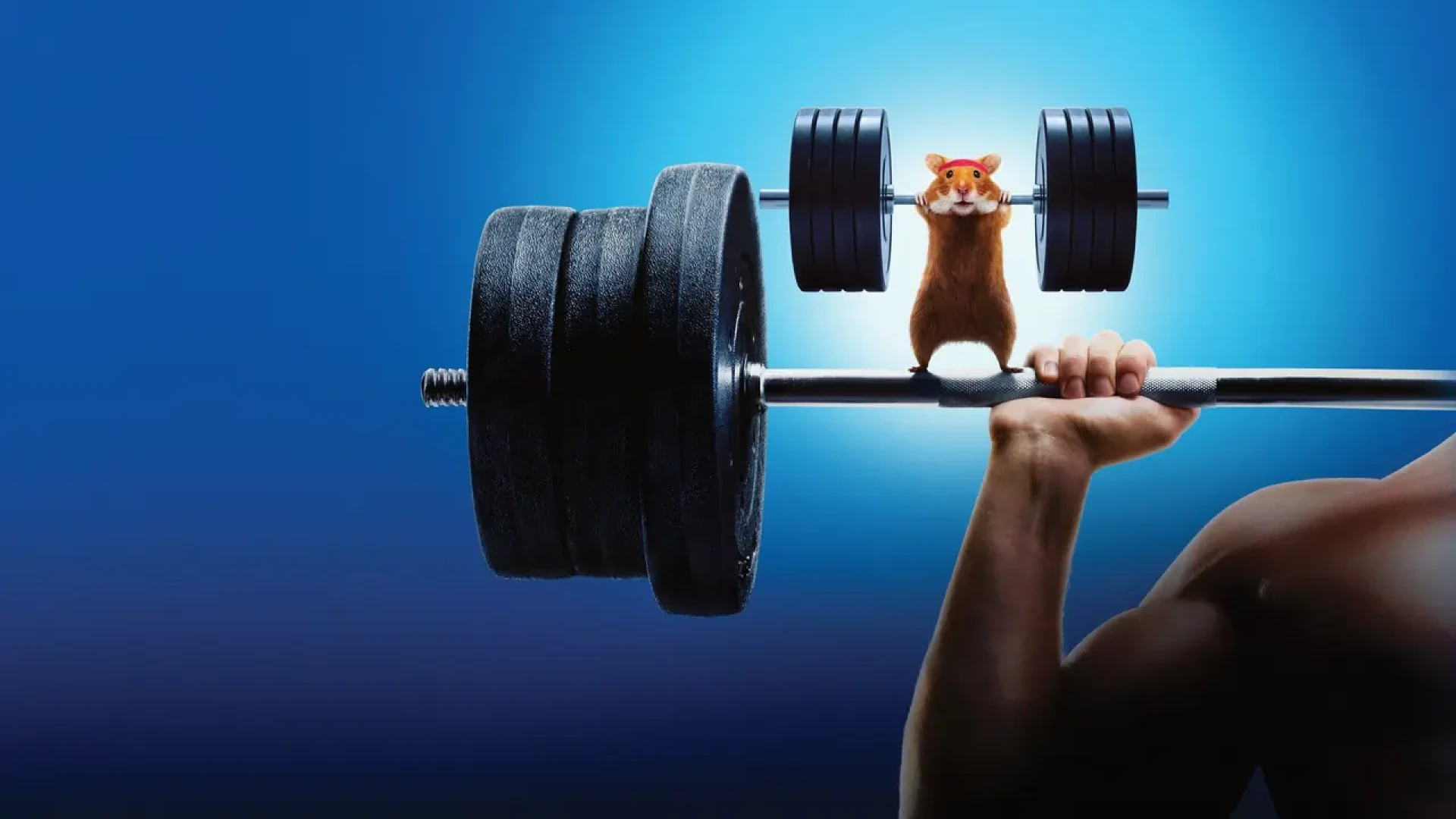 دانلود رئالیتی شو Human vs Hamster