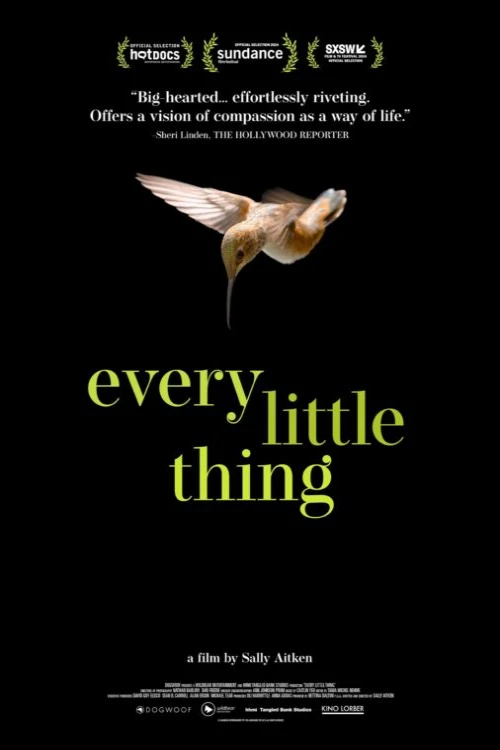دانلود فیلم Every Little Thing
