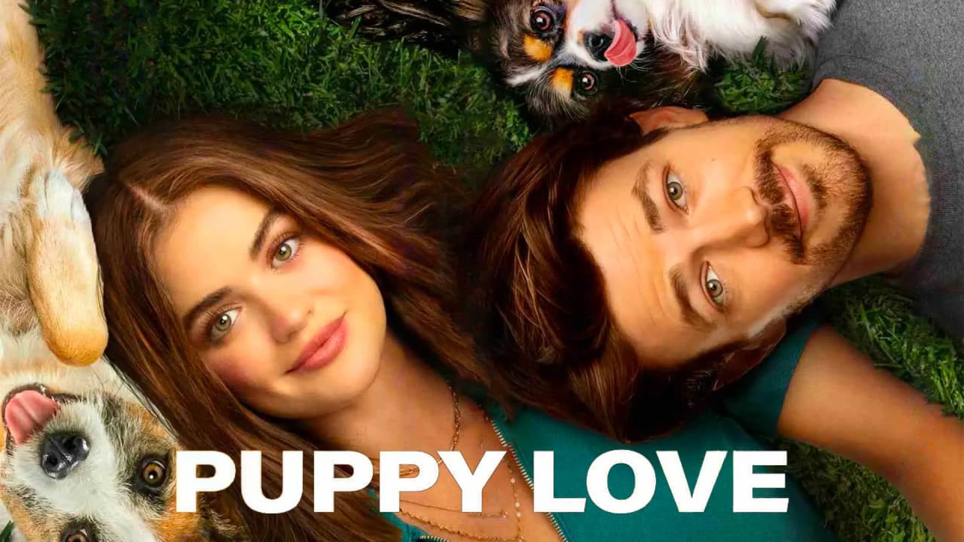 دانلود فیلم Puppy Love 2023