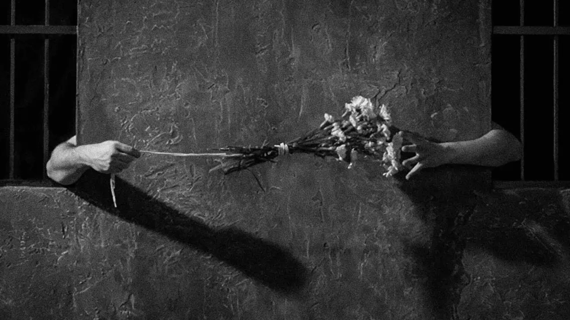 دانلود فیلم Song of Love 1950