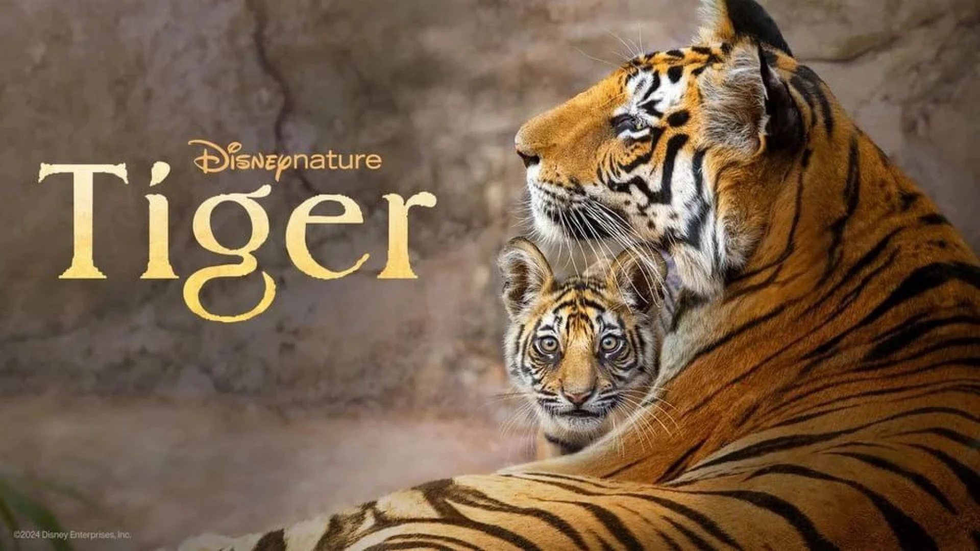 دانلود فیلم مستند Tiger 2024