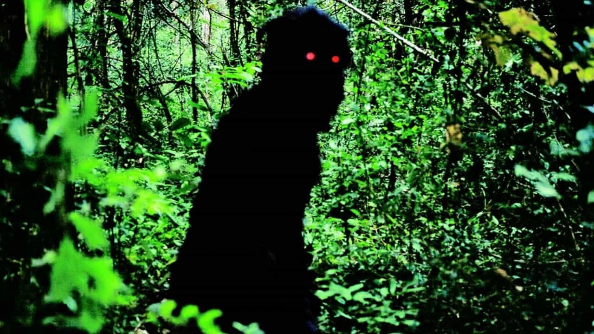 دانلود فیلم Uncle Boonmee Who Can Recall His Past Lives 2010