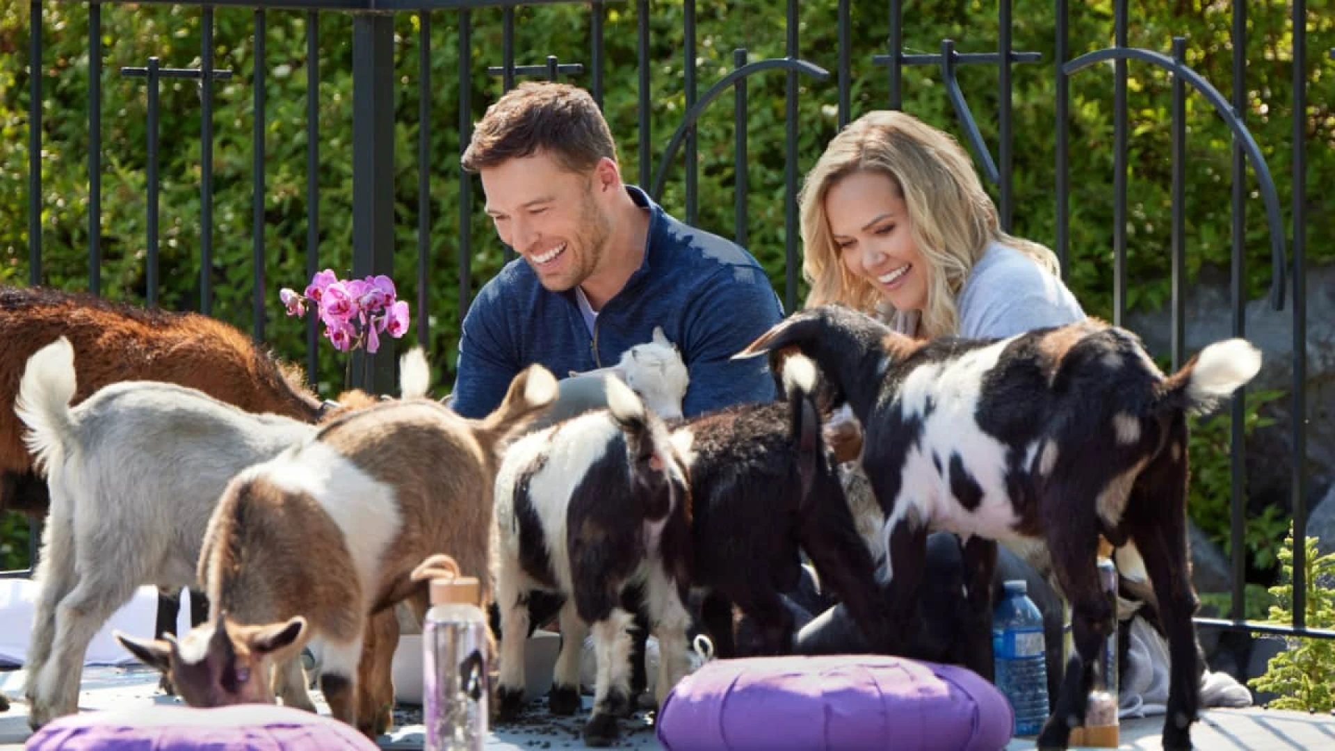 دانلود فیلم Retreat to You 2023