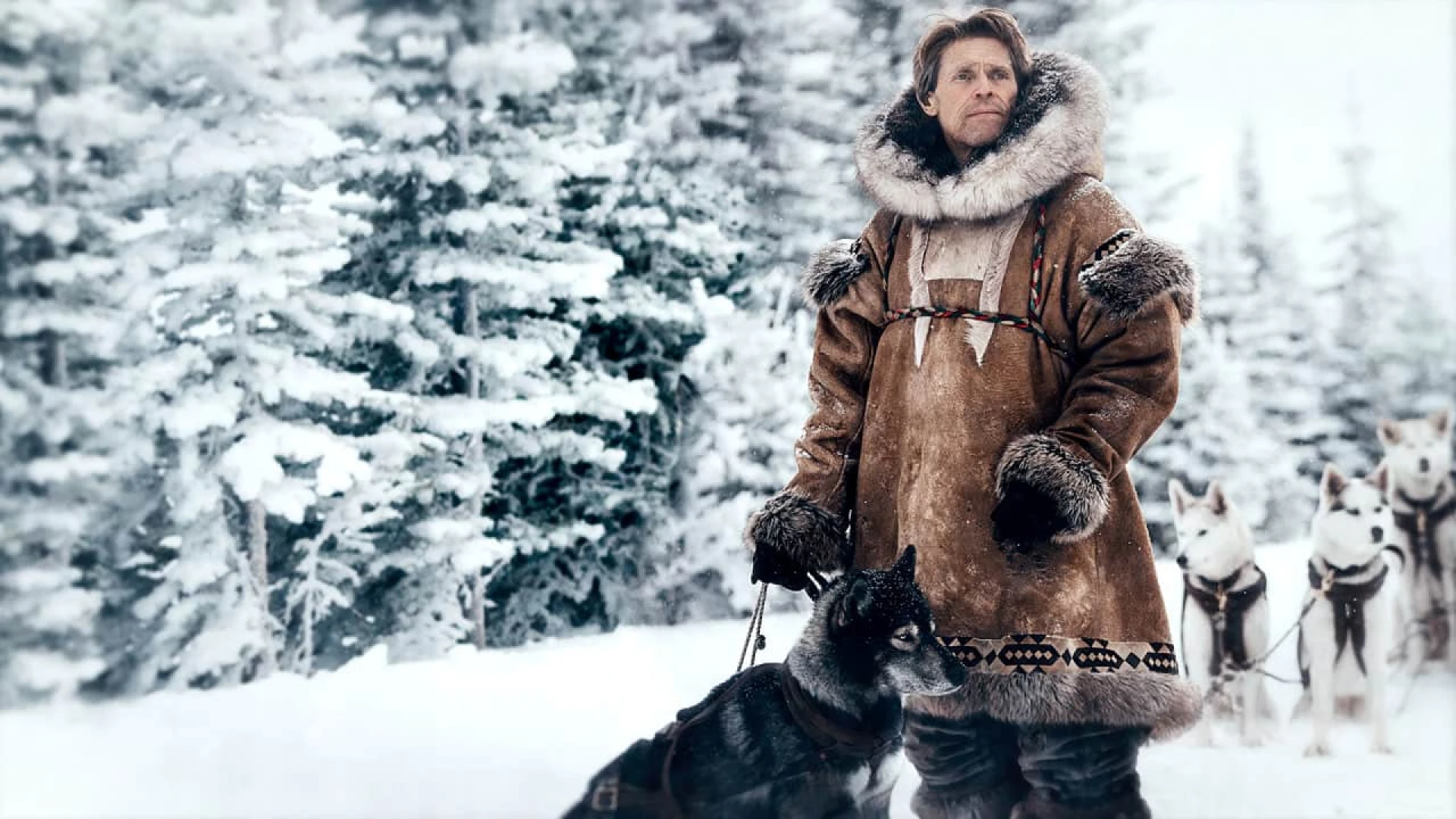 دانلود فیلم Togo 2019